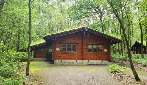 Woodland Cabin Standard