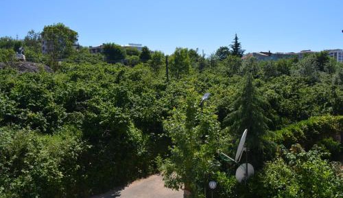 Apartment with Garden View
