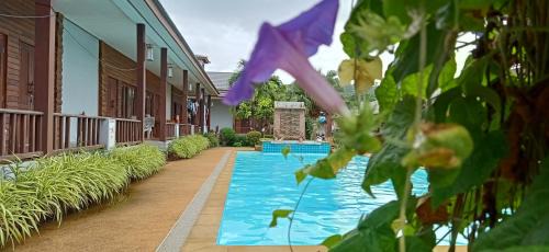 Deluxe Double Room with Pool View
