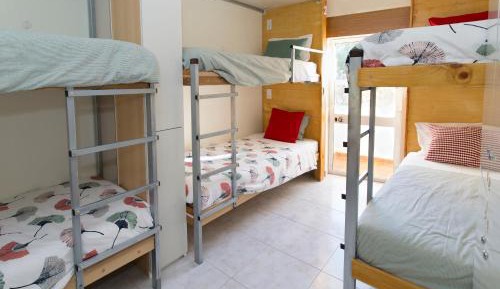 Bed in 6-Bed Mixed Dormitory Room