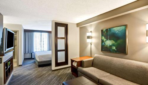 King Room with Accessible Tub - Disability Access