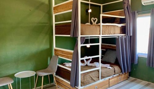 Bunk Bed in Mixed Dormitory Room
