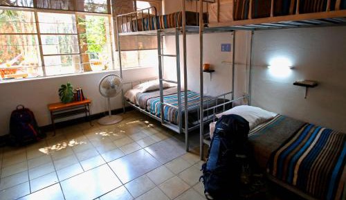 Bed in 8-Bed Mixed Dormitory Room