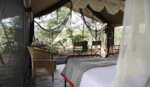 Luxury Tent