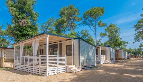 Mobile Home