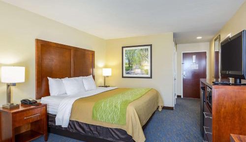 King Room with Roll in Shower - Mobility Accessible/Non-Smoking