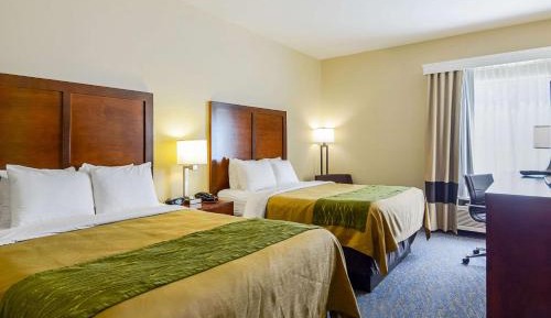 Queen Room with Two Queen Beds