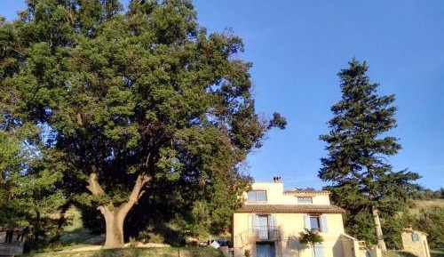 Double or Twin Room with Garden View