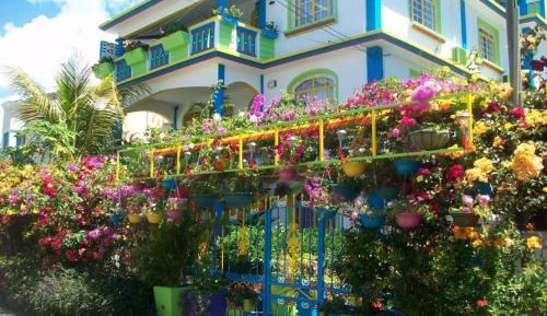 Apartment with Terrace