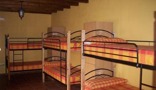 Bed in 10-Bed Mixed Dormitory Room
