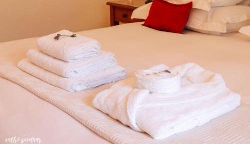 Twin/Double Room