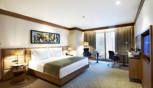 Superior King Room
