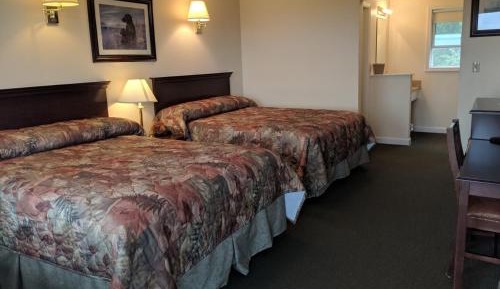 Pet Friendly Room With Two Queen Beds
