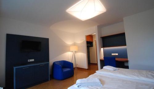 Deluxe Double or Twin Room "Ludwig Zack"