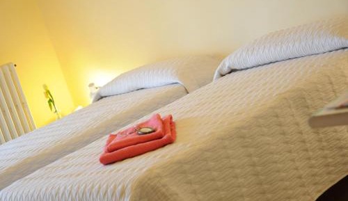 Basic Single Room
