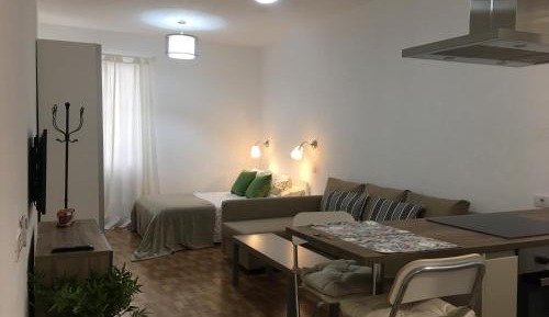 Studio Apartment