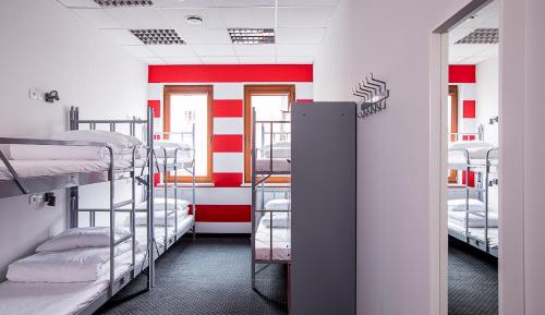Bed in 6-Bed Dormitory Room