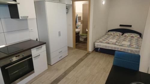 Apartment with Shower