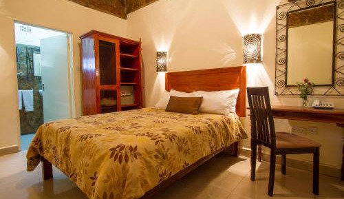 Executive Double or Twin Room
