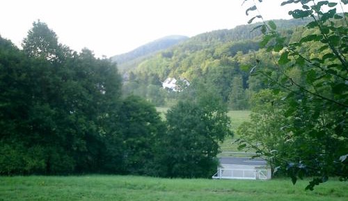 Double Room with Terrace