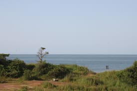 Tanji Cabin | A natural setup for a peaceful and tranquil stay!