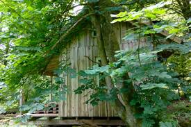 Nonnweiler Cabin | Waldhäuschen, Tiny House, Waldhütte, Waldhaus