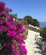 Andros Town House | Two story house on Sineti beach