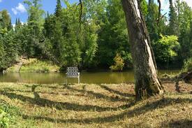 Fife Lake Cabin | Rainbow Jim’s Legacy Cabin on Big Manistee River!