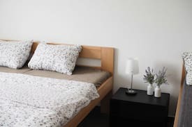Lipno nad Vltavou Apartment | Apartmán pro 5 osob se dvorkem
