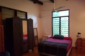 Coconut Grove House | JUNGLE HOME. MOON ROOM IN BUNGALOW.