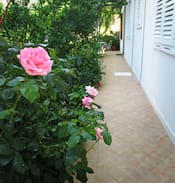 Cavtat House | Apartment Đurković 3