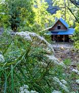 Walhalla House | Happy Go Lucky Hideout Walhalla