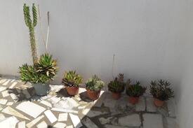 Teboursouk Villa | Hafsi's Garden