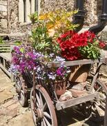 Winchelsea Other | Wickham Manor - The Tudor Wing