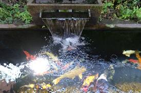 Ubud City-Centre House | Budi Shady Gully Guest House~Breakfast~Free Wifi