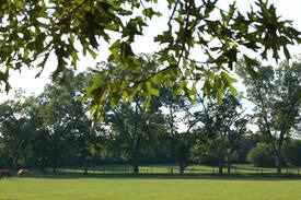 Aiken House | Guest House at Breeze Hill Plantation