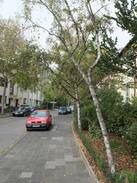 Sud Apartment | nice, quiet, appartment central, close to Mannheim