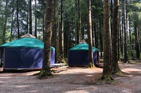 Forks Other | Isaac’s Yurt at Hoh Rainforest Resort
