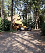 Weybourne Cabin | No 15 Weybourne Forest Lodges