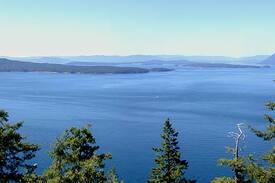 Pender Island Other | Whale Pod Chalet at Oaks Bluff Whale watching