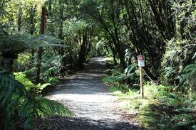 Hokitika Other | Hillyout accommodation, Lake Kaniere