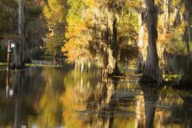 Karnack Cabin | Caddo Lake - Texas Two-Step Duplex (Side A)