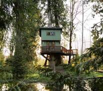 Lacey Other | Treehouse with Panoramic Views