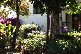 Cabrita Villa | Beach house near Tarifa