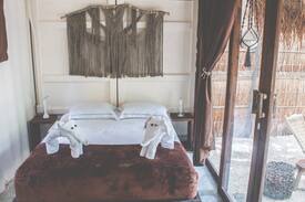 Zona Hotelera Apartment | PALMAR STAY (Beach Access) - Jungle Glamtainer 2
