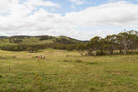 Berridale Villa | Ski Lodge at top of Barneys Mt Range