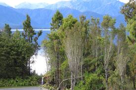 Hokitika Other | Hillyout accommodation, Lake Kaniere