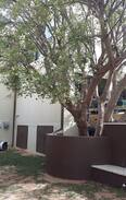 Windhoek House | Bemba - nice place to stay in Windhoek