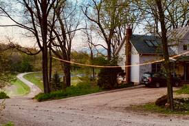 Morrisonville Cabin | The Napping Farm