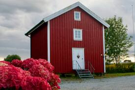 Overhalla House | Gårdshotell med sjel - Rom 203: Elvenes dronning